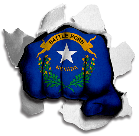 Fist Nevada State Flag Logo vinyl decal